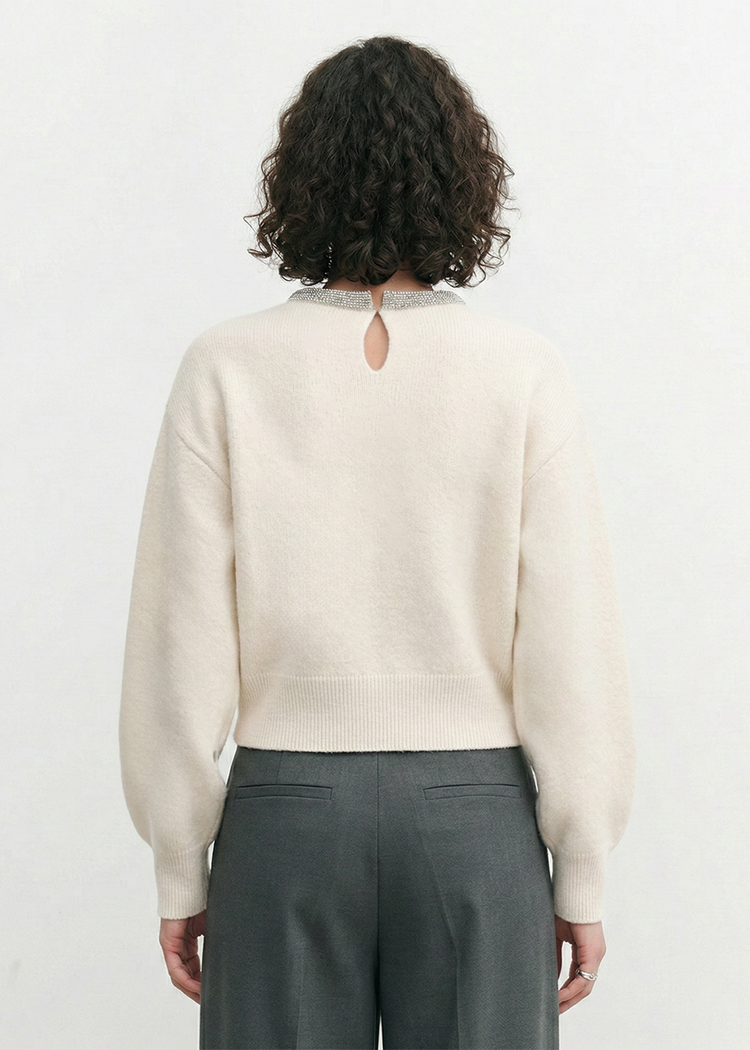 Embellished Neckline  Wool Jumper