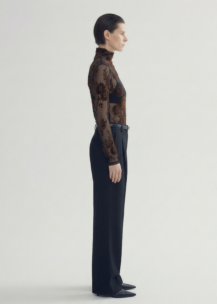 Sheer Velvet Flocked Long Sleeve Top