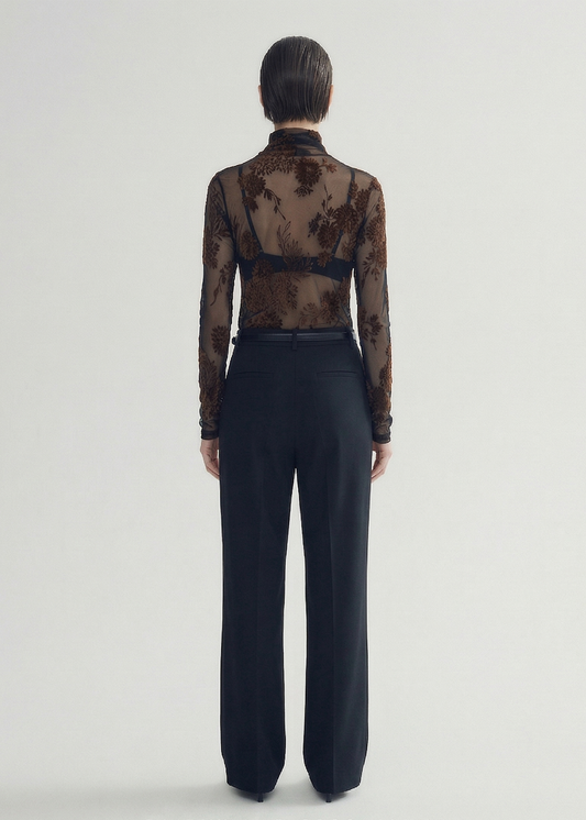 Sheer Velvet Flocked Long Sleeve Top