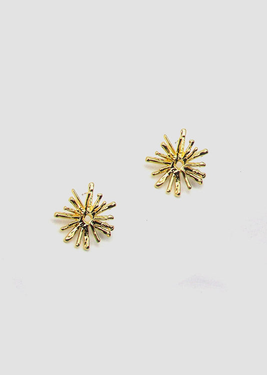 Firework Shape Textured Earrings